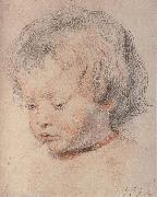 Peter Paul Rubens Rubens-s son oil painting reproduction